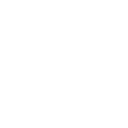 Exécution rigoureuse