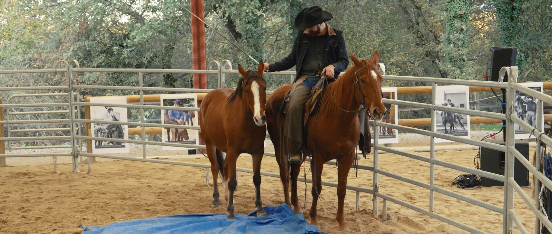 « Ça passe ! » / Luc Parisis Horsemanship