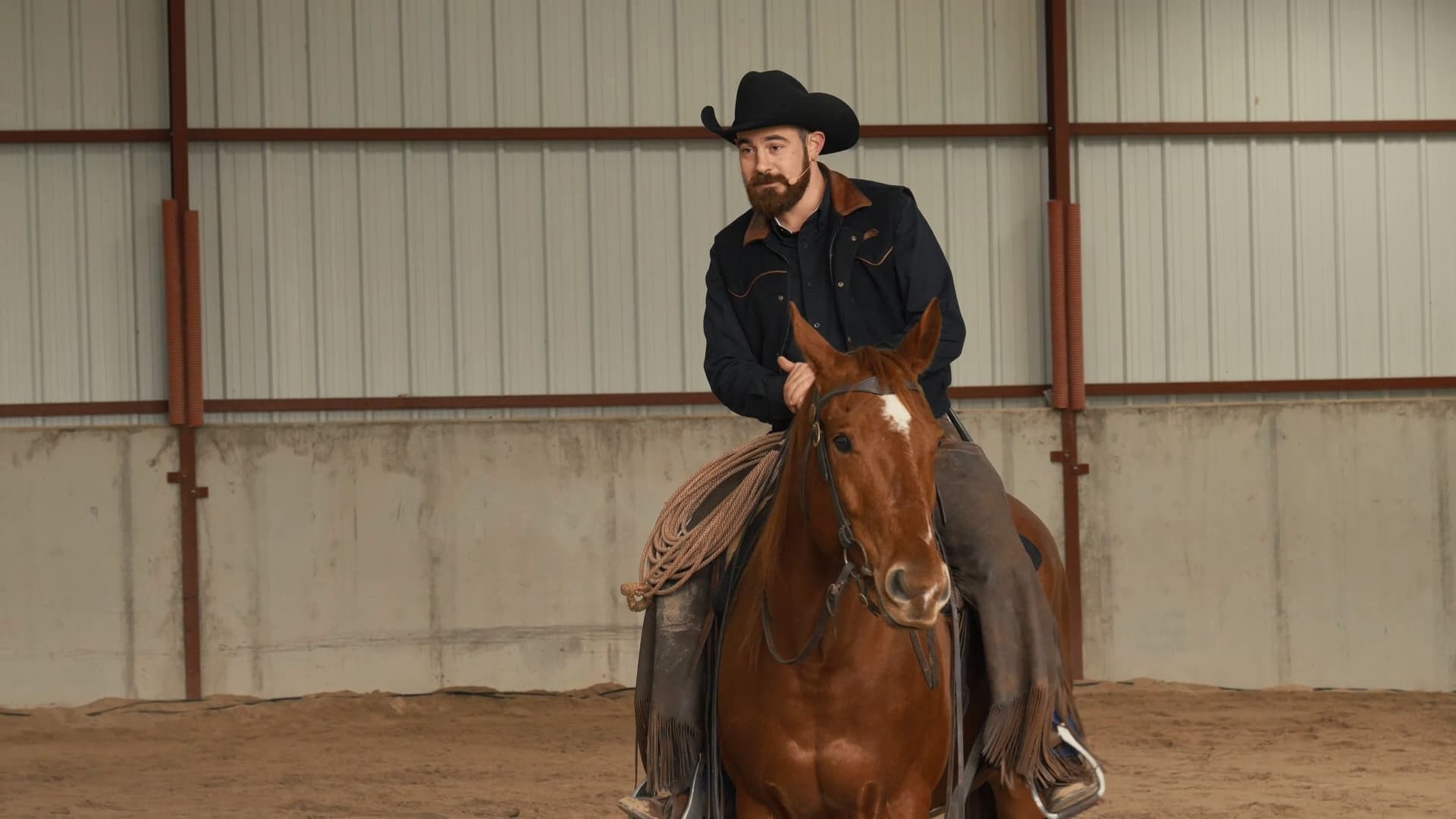 Luc Parisis Horsemanship