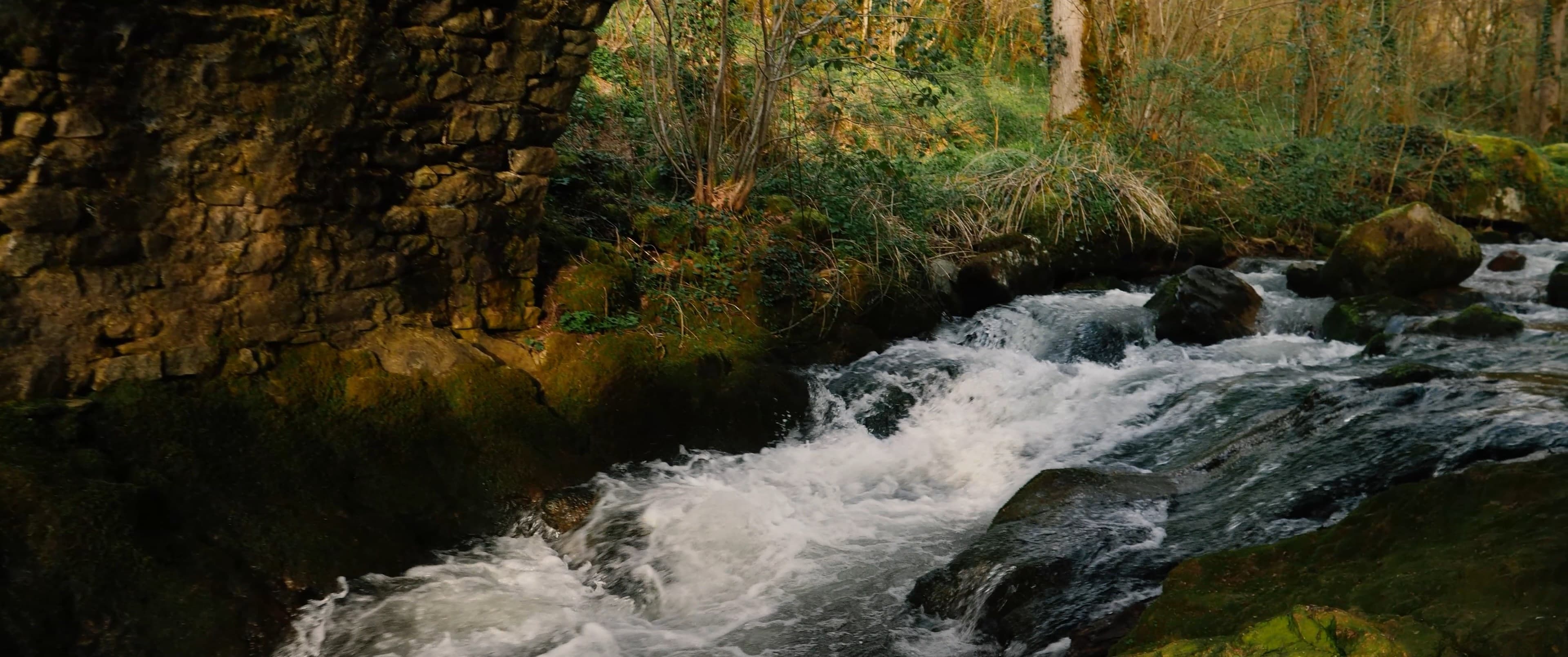 La Source de Peyrusse — visuel d'ambiance